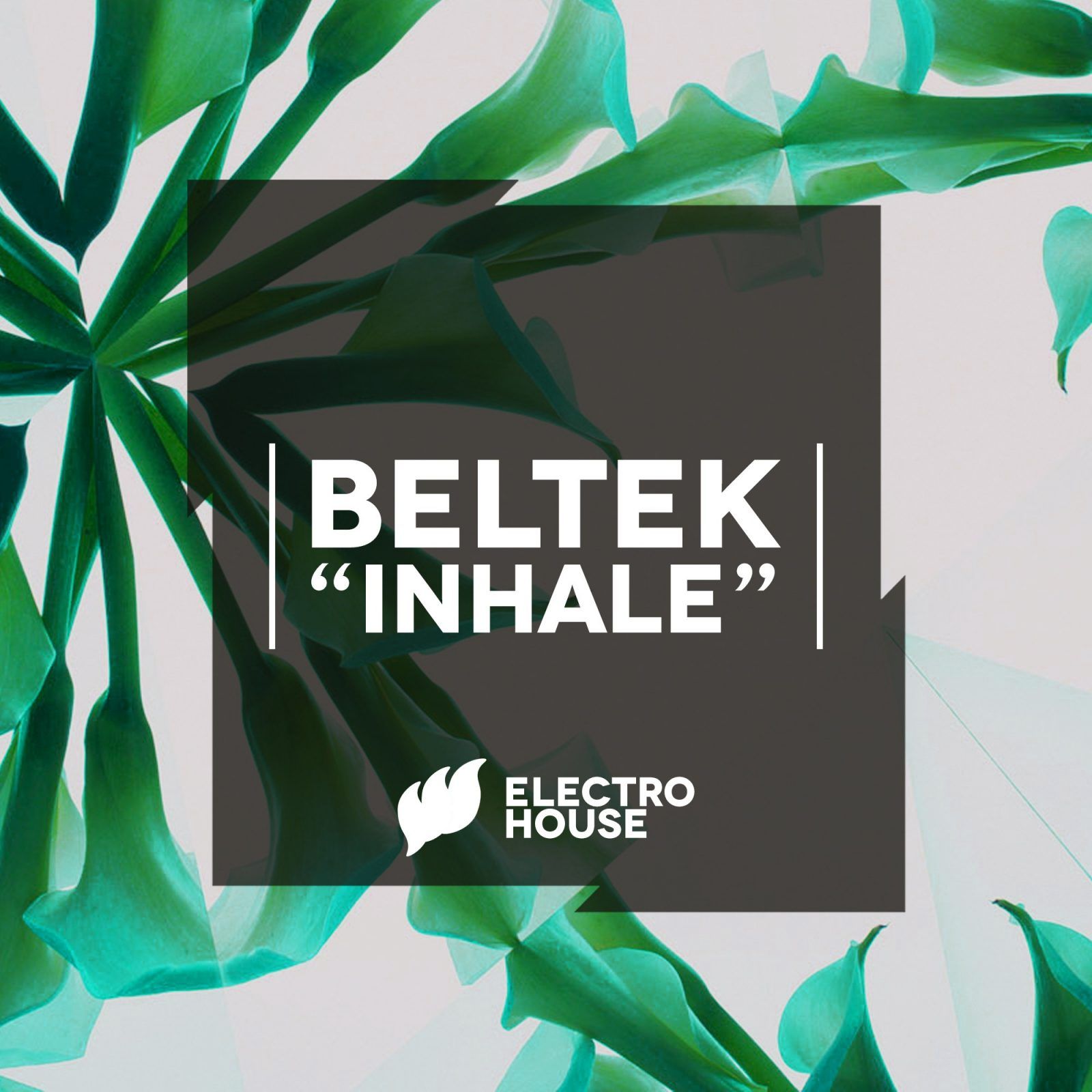 beltek-inhale.jpeg