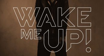 Avicii – Wake Me Up!