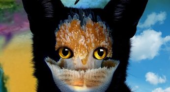GALANTIS – Smile