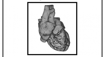 CRNKN – Heart