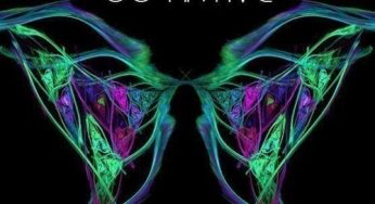 Go Native – Atom Heart