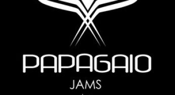 Podcast 041: MTV presents Papagaio Jams