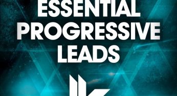 Samples 06: Essential Progressive Leads