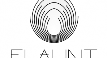 Flaunt – It’s Such A Joke