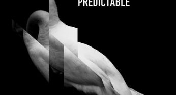 Ben Pearce & Black Orange Juice – Predictable (Ossie Black Widow Mix)