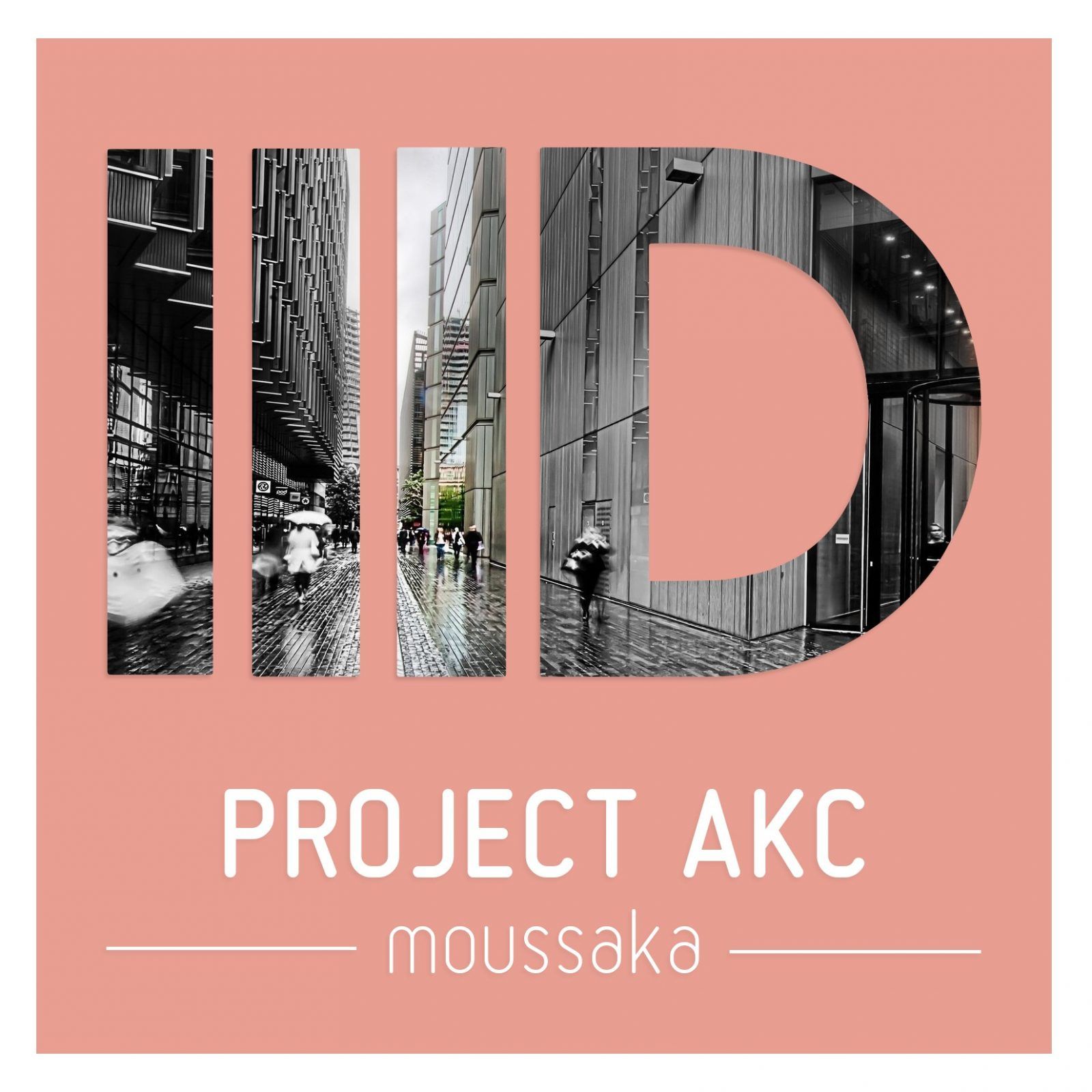 idproject-akc4.jpeg