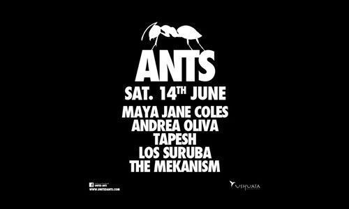 ants.jpg