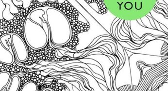 Attaque – Only You