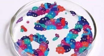 MASON – ZOA