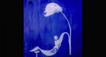 Labyrinth Ear – The Orchid Room