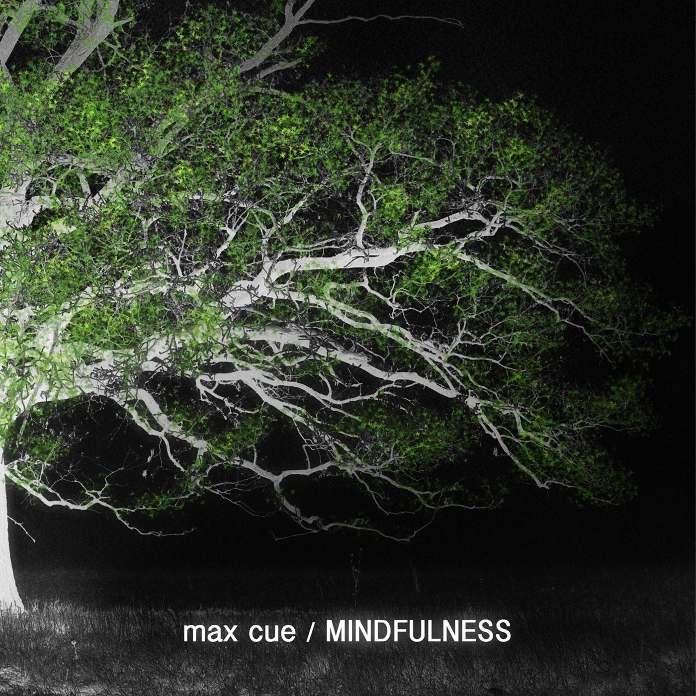 max-cue-mindfulness-cover.jpg