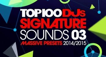 Top 100 DJs Signature Sounds Massive Presets Vol 3