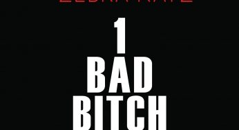 Ten Ven & Ripley Vs. Zebra Katz – 1 Bad Bitch (Dear David Remix)