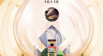Day Zero festival 2015