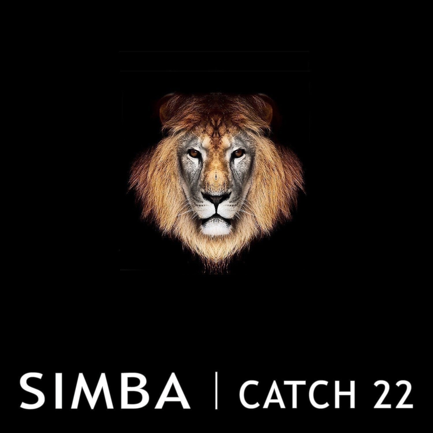 simba-catch22.jpg