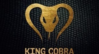 Yves V vs Don Diablo – King Cobra