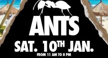 ANTS at BPM