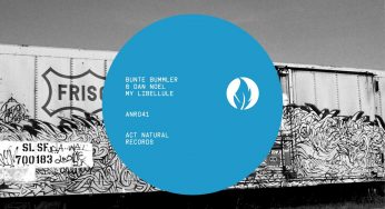 Dan Noel & Bunte Bummler – My Libellule EP