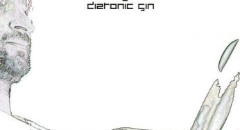 BP – Diatonic Gin