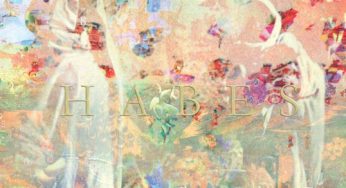 M+A feat. DENA – Habes
