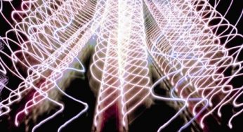 Netsuke – Heliotrope