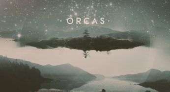 Lulacruza – Orcas