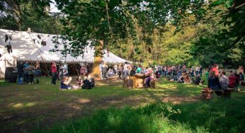 Red Rooster Festival announces headliner and full lineup