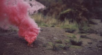 The Scrumfrog – Send Wave