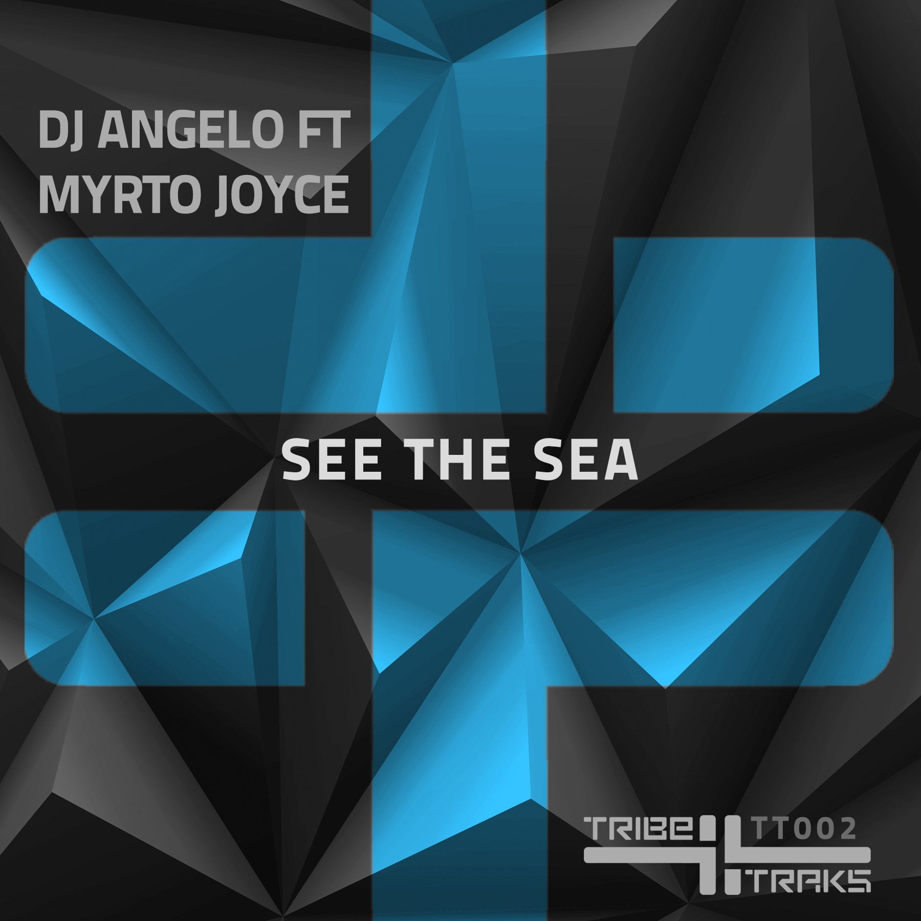 packshot-djangeloftmyrtojoyce-seethesea-tribetraks.jpg