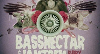 Bassnectar & Jantsen - Every Time