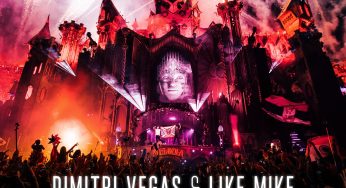 Dimitri Vegas & Like Mike vs Ummet Ozcan - The Hum (Tom Staar & Kryder Remix)