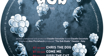 Claudio Coccoluto - THEDUB105
