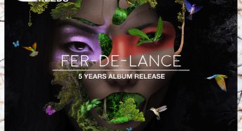 Various Artists (inc. O.D.Math, Felix Cage, Deeligent Soul and Shades of Gray) - Fer-De-Lance