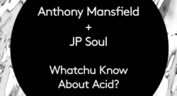 Anthony Mansfield + JP Soul - Watchu Know About Acid?