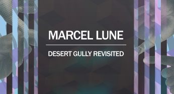 Marcel Lune Incl. PNFA, Hi-Ryze, Bunny On Acid Remixes - Desert Gully Revisited