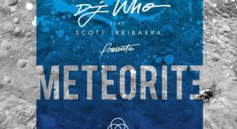 DJ Who - Meteorite