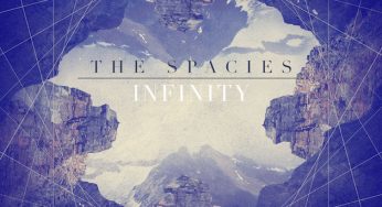 The Spacies - Infinity (LTN Remix)