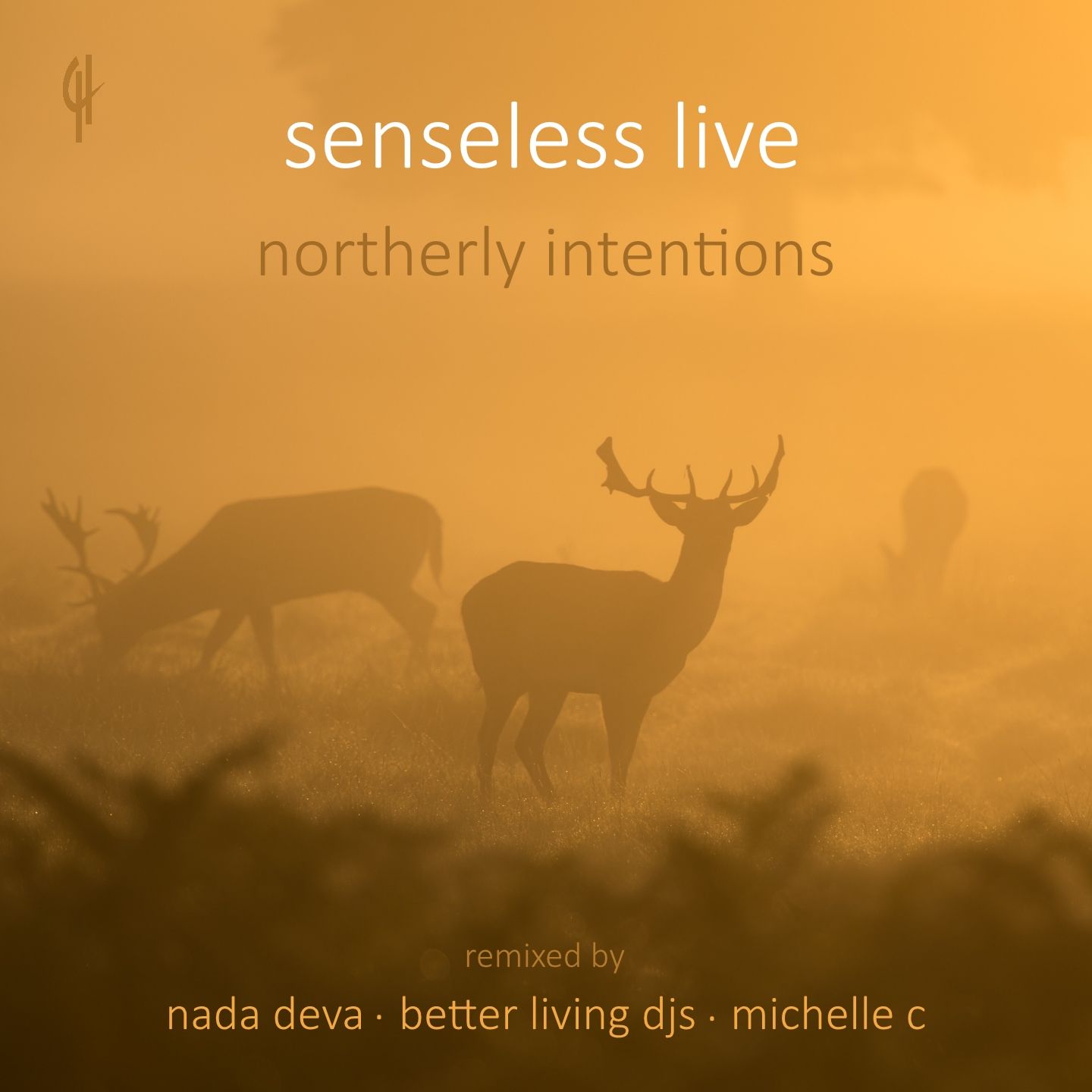 senseless_live_-_northerly_intentions.jpg