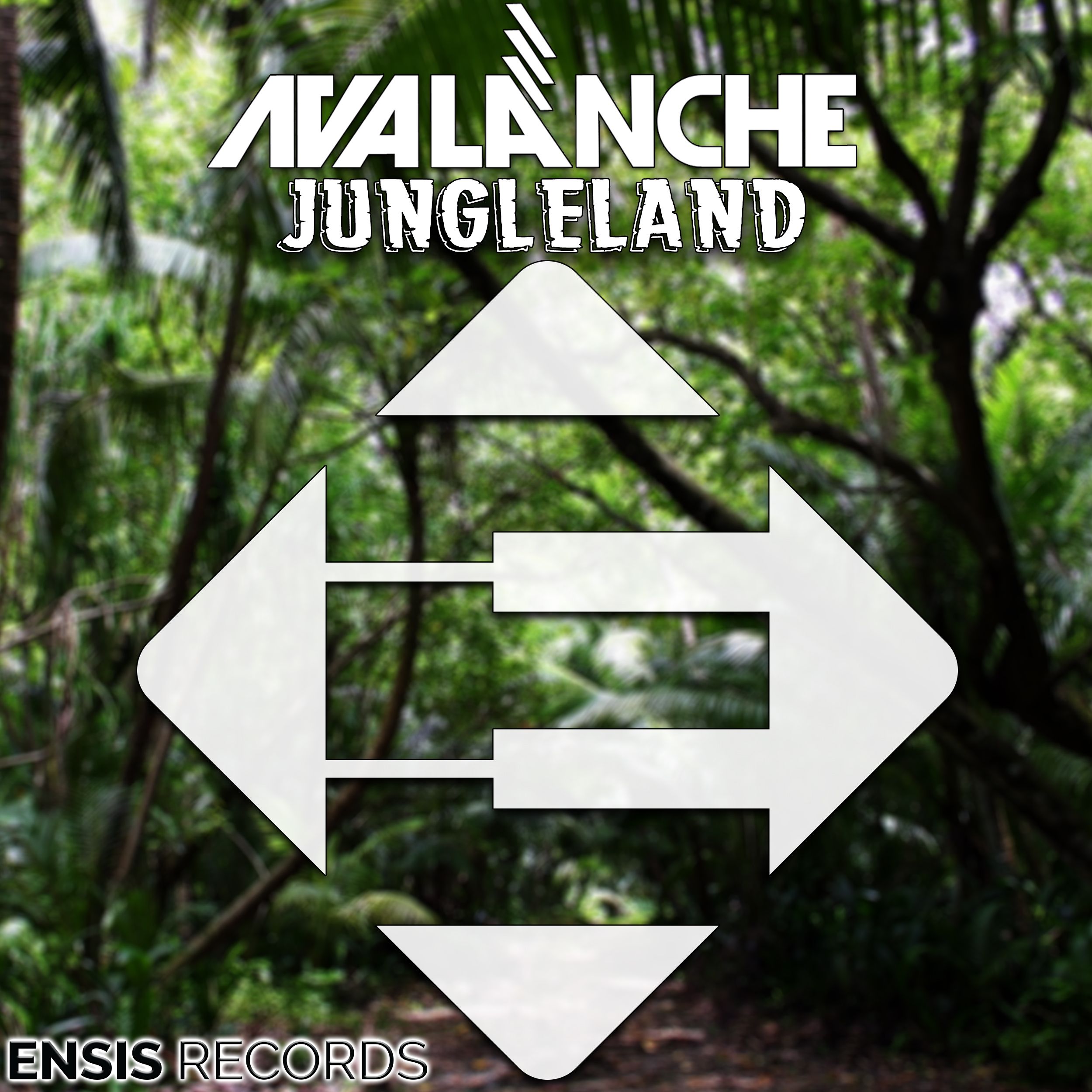 avalanche_-_jungleland.jpg