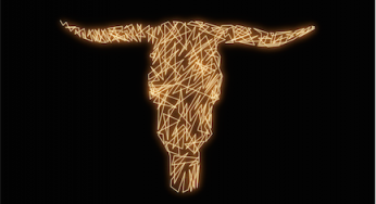 Matador - Ructions