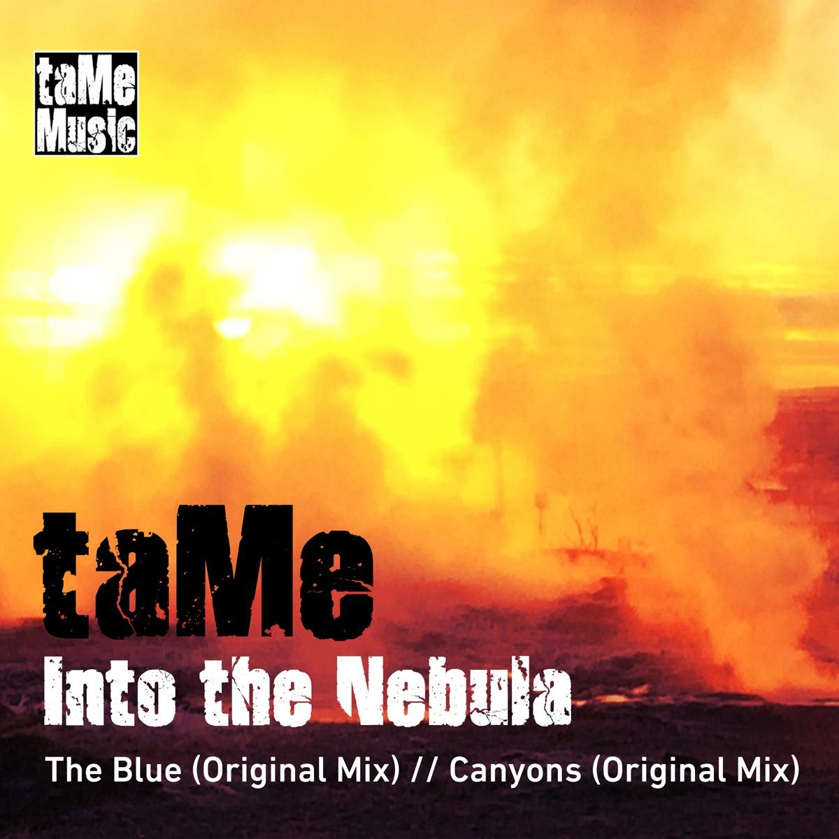 tame008_cover_opt.jpg