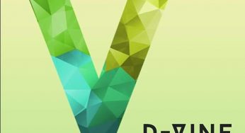 Various Artists - D-Vine Sounds Part 4