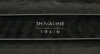 THYLACINE - Train