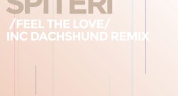 Ronnie Spiteri - Feel The Love EP (inc. Dachshund Remix)