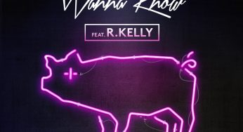 Digital Farm Animals - Wanna Know ft. R. Kelly (Remixes)
