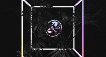 PLS&TY DROPS HUGE, FREE BITTORRENT BUNDLE FOR FANS