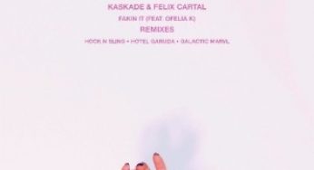Kaskade & Felix Cartal - Fakin It feat Ofelia K (remixes)