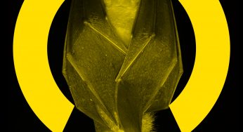 Adam Beyer to play b2b with Ida Engberg all night long at Ministry of Sound