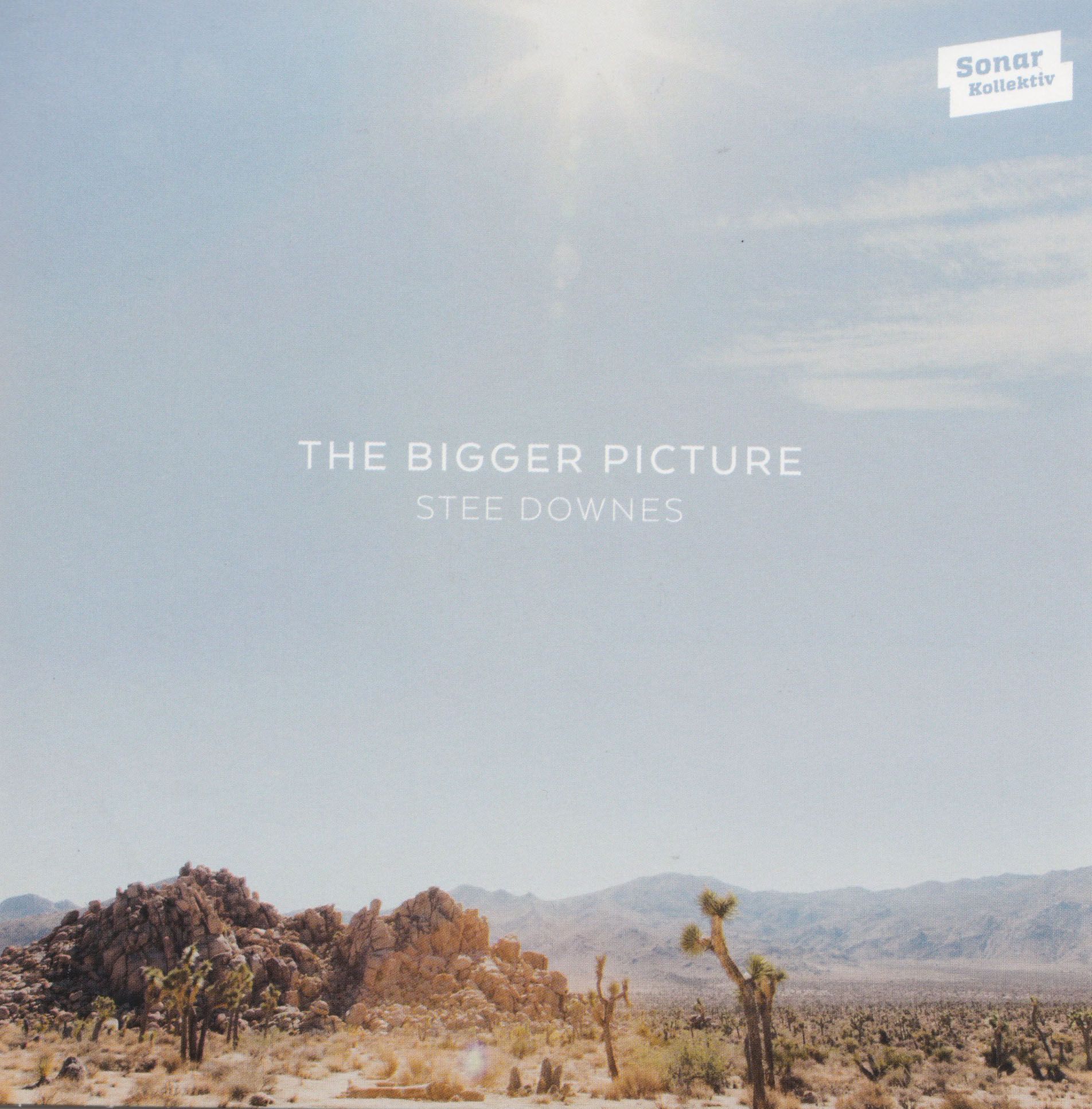 stee_downes_cover_300dpi.jpg