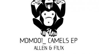Allen & Filix - Camel EP